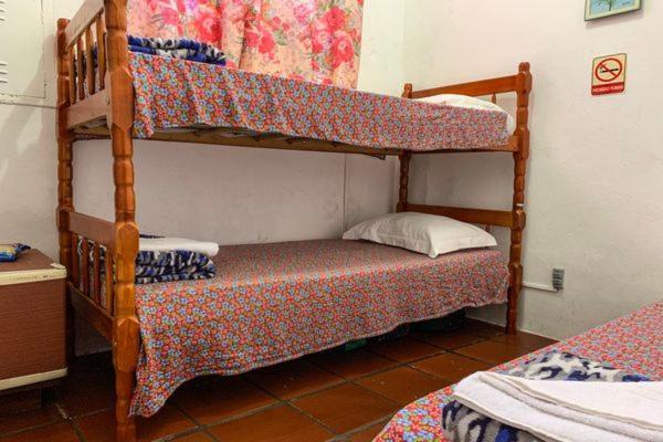 Hotel Pousada Edelweiss Florianópolis Extérieur photo